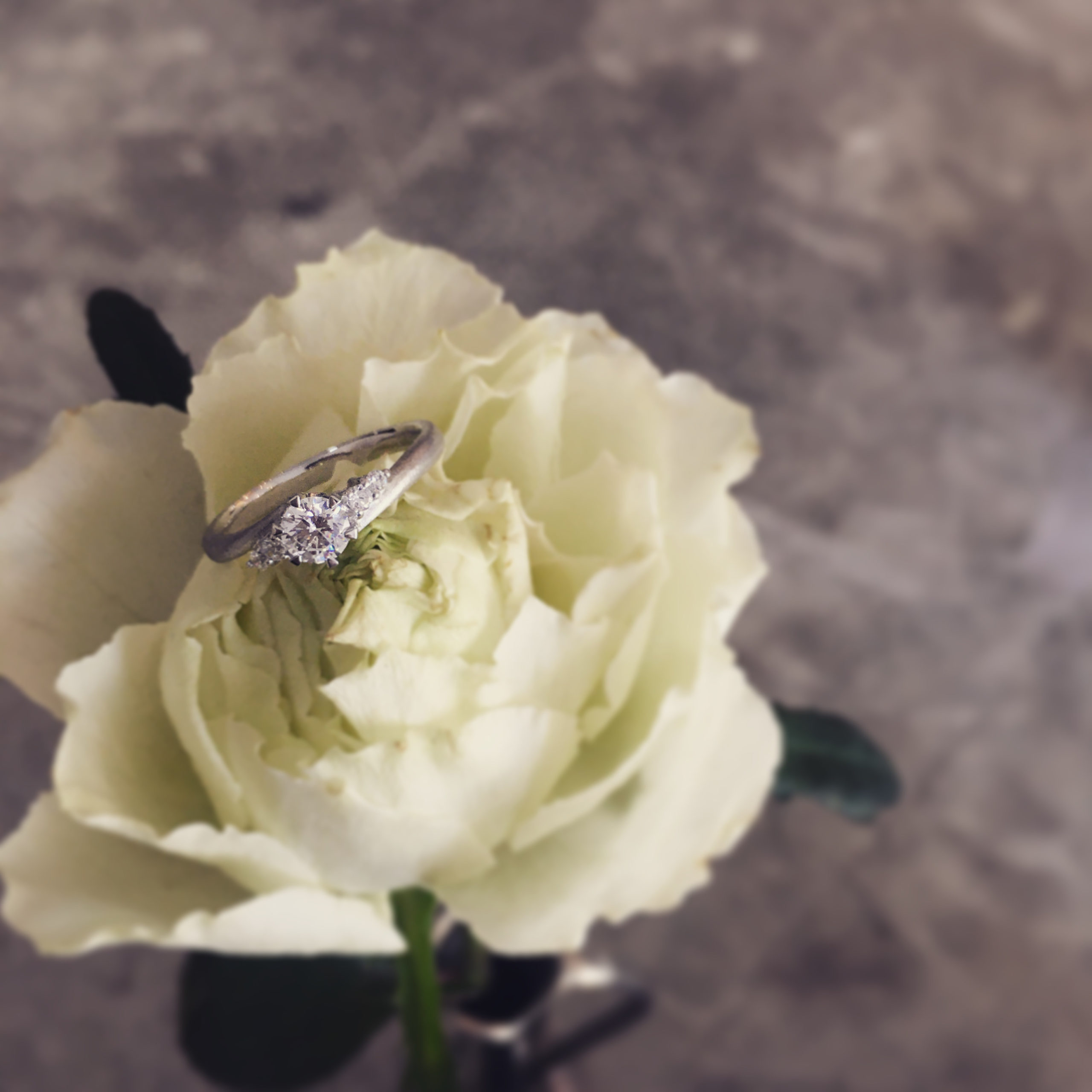 ＊Engagement Ring＊